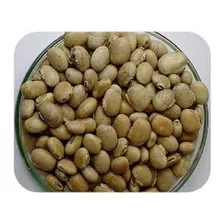Mucuna Cinza / Mucuna Pruriens - 7kg De Sementes P/ Plantio