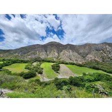 Raiza Suarez Vende De Oportunidad Finca En El Tocuyo, Estratégica Ubicación, Con Una Extensión De 249 Hectáreas, Ideal Para La Siembra De Diferentes Tipo De Productos, Posee Agua Dentro 2 3 2 3 6 1 4