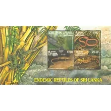 Fauna - Reptiles - Sri Lanka - Hojita Block Mint