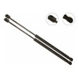2 Piezas (juego) Tuff Support Back Glass Lift Supports1994 A