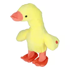 Falando, Cantando E Andando Com Um Pato: O Interessante Inte