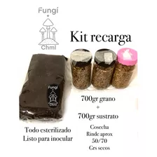Kit Recarga, Sustrato +grano Estéril Listo Para Inocular