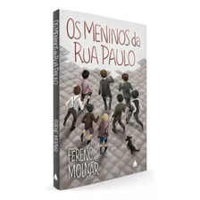 Livro Os Meninos Da Rua Paulo