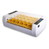 Incubadoras De 24 Huevos Automatico Digital