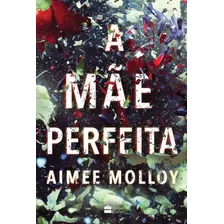 A Mãe Perfeita: A Mãe Perfeita, De Aimee Molloy., Vol. Único. Casa Dos Espíritos Editora Ltda,harper Collins, Capa Mole, Edição 1ª Edicao Em Português, 2018