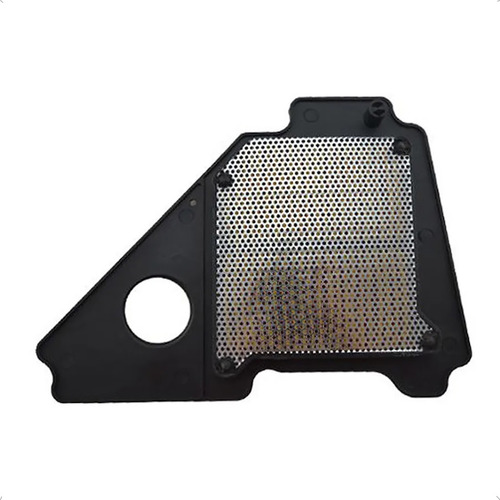 Filtro De Aire Completo Para Moto Ybr125 08-09 Foto 3