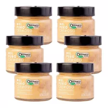 Kit 6 Potes De Mel Puro Cremoso Orgânico 240g