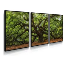 Quadro Decorativo Natureza Arvore Sala Quarto Moldura Caixa