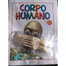 Corpo Humano Fasciculo 21 - Novo Lacrado Com A Peça - Salvat