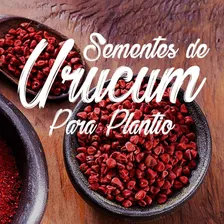 250 Semente De Urucum - Qualidade Garantida 