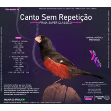 Curió Super Canto - Álbum Clássico Digital Sem Repetição