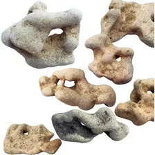 Piedras De Mar Erosionadas Agujereadas Acuarios O Arte X 15 