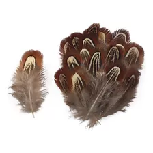 Caneta De 200 Unidades, 4-8 Cm, Natural, Feitos À Mão, Acess