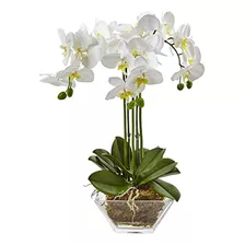 Casi Natural 4570 Triple Phalaenopsis Orquídea En Florero De