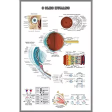 Poster Olho 65x100cm Decorar Consultório Oftalmológico