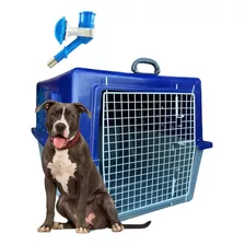 Caixa De Transporte Para Cão Cachorro Reforçada Número 6