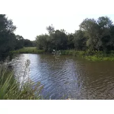 Campo En Garzon Cerca Del Pueblo Garzon