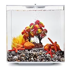 Biorb Decor Set 15l Otoño