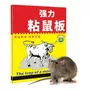 Tercera imagen para búsqueda de trampas de pegamento para ratas