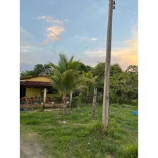 Vendo Chácara 12.5 Hec. No Distrito Do Bezerra Em Formosa