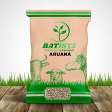 Capim Aruana 10kg Excelente P/ Pasto Equinos/ovinos/caprinos