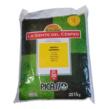 Semillas De Césped Pasto Picasso® Media Sombra 1 Kg Mezcla