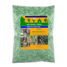 Erva De Sao Joao, Agro, Insumos, Medicinal Original 100g