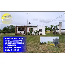 Vende Chacra De 3 Has Con Casa De Mevir - Criadero De Pollos Y Galpones En Ruta 7 Km 40 Pantanoso.