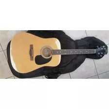 Guitarra Rogue