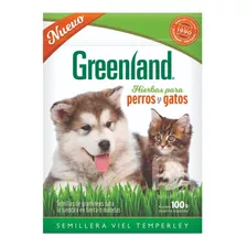 Semillas De Hierba Gatera Para Gatos Y Perros 100g Greenland