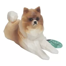 Lulu Da Pomerânia Spitz Alemão Deluxe Estátua G + Brinde