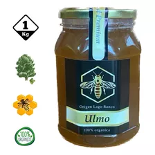 Miel De Abeja 100% Natural Y Orgánica De Ulmo 1 Kilo