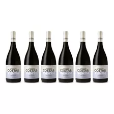 Vino Costa & Pampa Pinot Noir 750ml X6 Zetta Bebidas