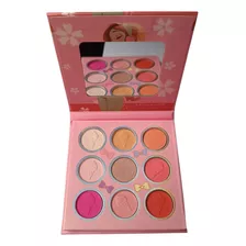 Paleta De Sombras Profesional - g a $22