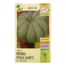 Sementes De Moranga Pataca Gigante - 3gr De Sementes