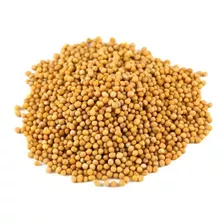 Mostaza En Grano X 1 Kg