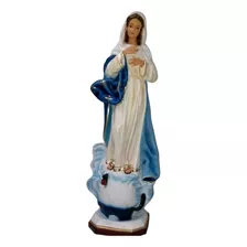 Virgen De La Inmaculada O María 88 Cm Fibra De Vidrio