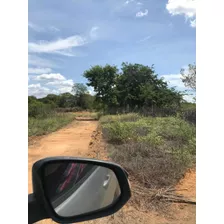 Fazenda Mil Hectares Em Jaiba