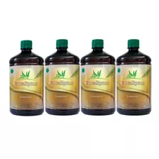 Essência Para Sauna Eucalipto 4 Lts Concentrado Aromatizante