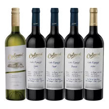 Vino Colome Lotes Especiales Y Estate Torrontés 5 Unidades