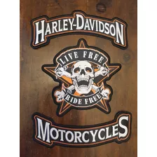 Parche Birdado Harley Davidson Motorcycles Biker Skull Ride