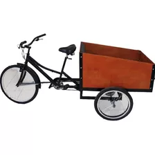Triciclo Transporte Niños
