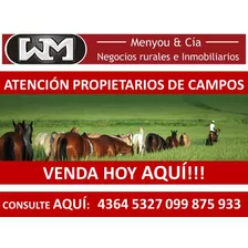 Venta Compra De Campo De 200has A 2500has Forestal Ganadero