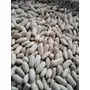 Segunda imagen para búsqueda de porotos blancos cimarron