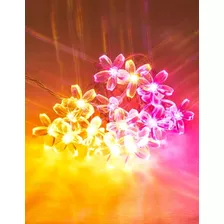 Luminaria Varal Led 20 Flores Coloridas Fio 3m