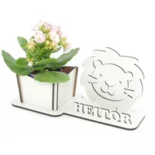 5 Porta Flores Display Personalizado Mdf Branco Leãozinho