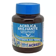 Tinta Acrilica Brilhante 100ml Acrilex (1 Unidade)