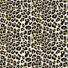 Leopardo Película Pintura Hidrográfica Her-241