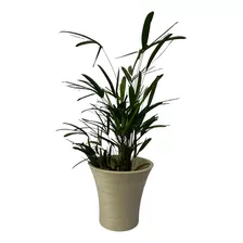 Vaso Plantar Plantas Frutíferas Polietileno Taça 35x40