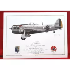 Gravura Edição Limitada P-47d B5 Rocha Senta A Púa! Fab